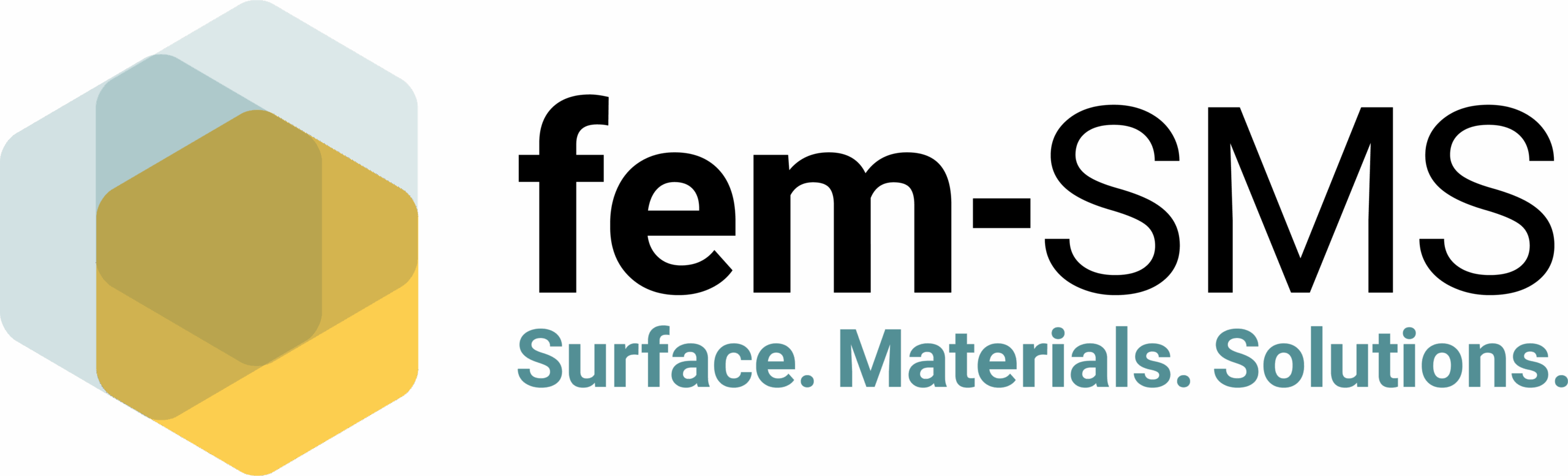 fem-SMS GmbH – Surface. Materials. Solutions.